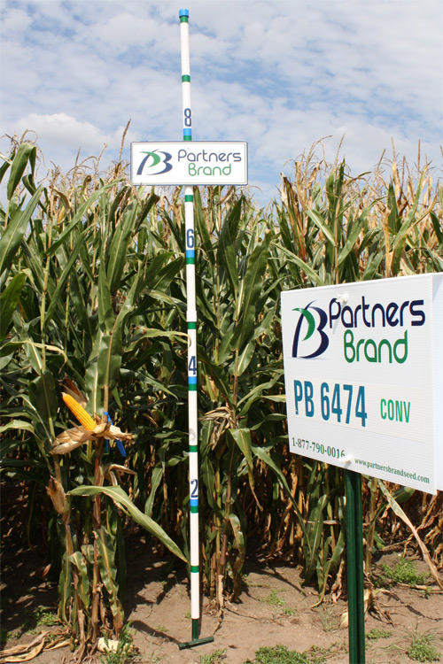 Image result for 6474