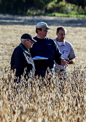 Farmers evaluating a soybean field.