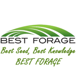 Best Forage: Best Seed, Best Knowledge, Best Forage!